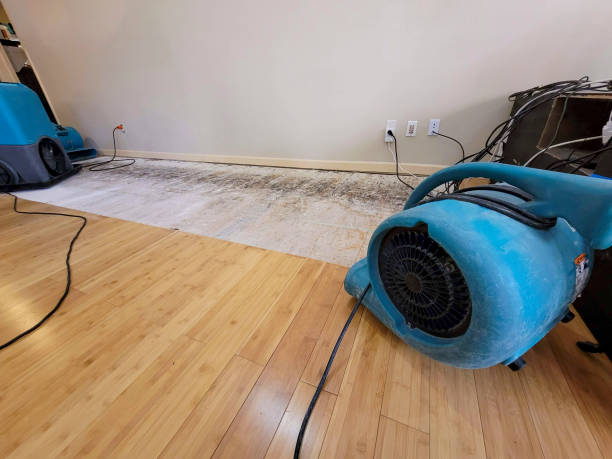 Professional Flood Damage Cleanup technician working in Elkins, AR